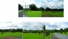 Views from site